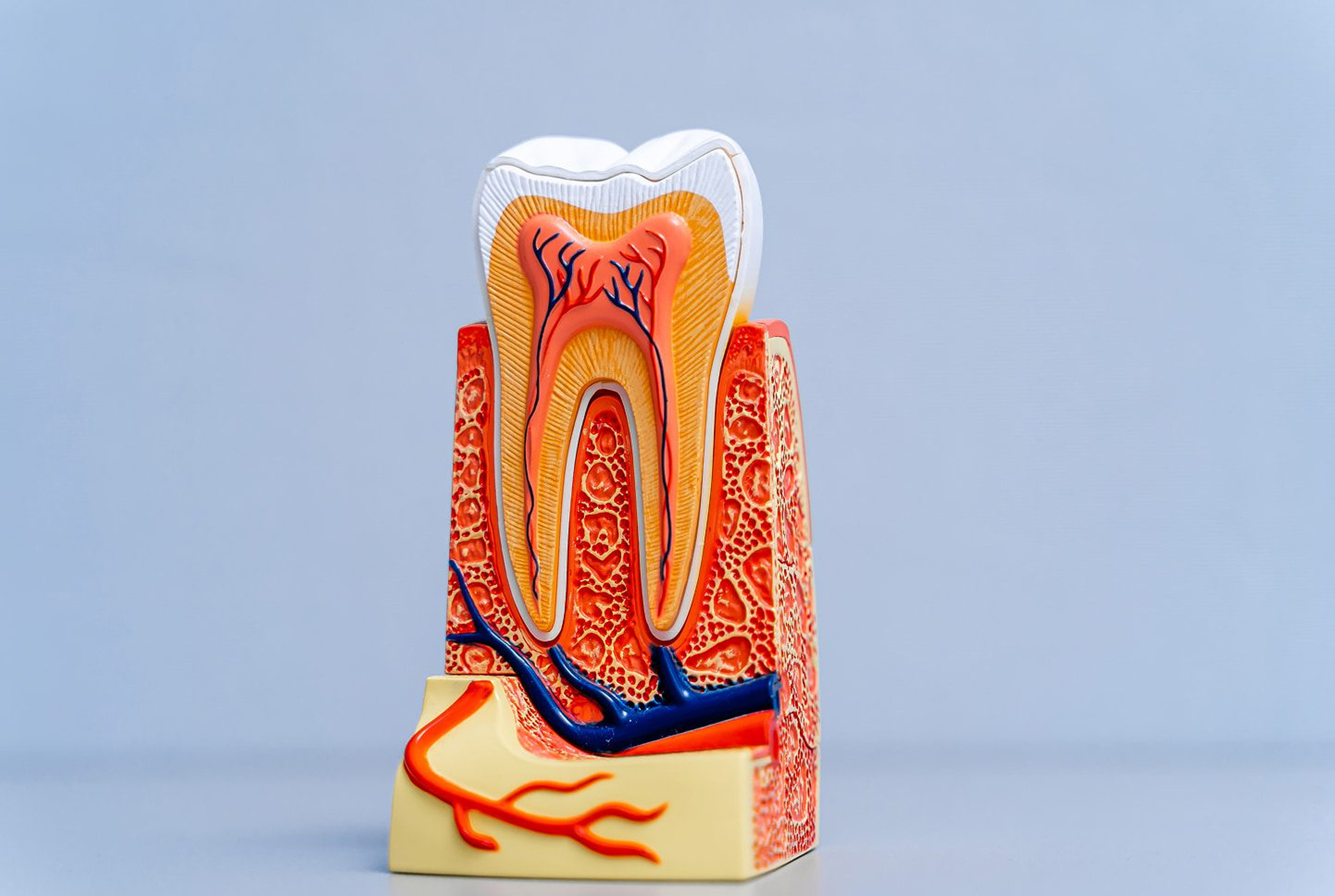 Comfortable root canal procedure at Pure Arts